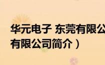 华元电子 东莞有限公司（关于华元电子 东莞有限公司简介）