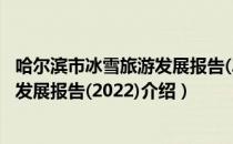 哈尔滨市冰雪旅游发展报告(2022)（关于哈尔滨市冰雪旅游发展报告(2022)介绍）