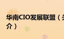 华南CIO发展联盟（关于华南CIO发展联盟简介）