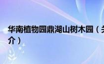 华南植物园鼎湖山树木园（关于华南植物园鼎湖山树木园简介）