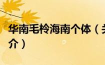 华南毛柃海南个体（关于华南毛柃海南个体简介）