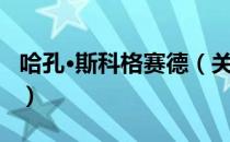 哈孔·斯科格赛德（关于哈孔·斯科格赛德介绍）