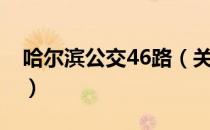哈尔滨公交46路（关于哈尔滨公交46路介绍）