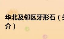华北及邻区牙形石（关于华北及邻区牙形石简介）