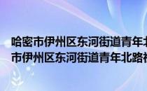 哈密市伊州区东河街道青年北路社区志愿服务队（关于哈密市伊州区东河街道青年北路社区志愿服务队介绍）