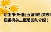 哈密市伊州区五堡镇机关志愿服务队（关于哈密市伊州区五堡镇机关志愿服务队介绍）