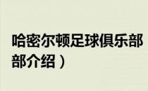 哈密尔顿足球俱乐部（关于哈密尔顿足球俱乐部介绍）