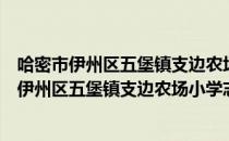 哈密市伊州区五堡镇支边农场小学志愿服务队（关于哈密市伊州区五堡镇支边农场小学志愿服务队介绍）
