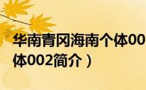 华南青冈海南个体002（关于华南青冈海南个体002简介）