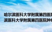 哈尔滨医科大学附属第四医院肿瘤生物治疗中心（关于哈尔滨医科大学附属第四医院肿瘤生物治疗中心介绍）