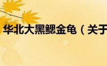 华北大黑鳃金龟（关于华北大黑鳃金龟简介）