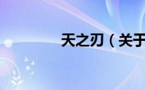 天之刃（关于天之刃简介）