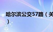 哈尔滨公交57路（关于哈尔滨公交57路介绍）