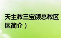 天主教三宝颜总教区（关于天主教三宝颜总教区简介）