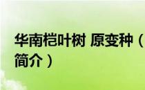 华南桤叶树 原变种（关于华南桤叶树 原变种简介）