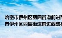 哈密市伊州区丽园街道前进西路社区志愿服务队（关于哈密市伊州区丽园街道前进西路社区志愿服务队介绍）