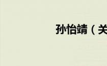 孙怡靖（关于孙怡靖）