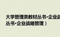 大学管理类教材丛书·企业战略管理（关于大学管理类教材丛书·企业战略管理）