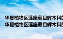 华夏植物区莲座蕨目辉木科的分类、系统发育和演化（关于华夏植物区莲座蕨目辉木科的分类、系统发育和演化简介）