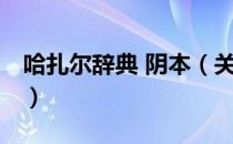 哈扎尔辞典 阴本（关于哈扎尔辞典 阴本介绍）