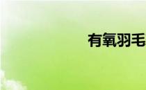 有氧羽毛球的好处