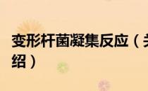 变形杆菌凝集反应（关于变形杆菌凝集反应介绍）