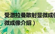 受激拉曼散射显微成像（关于受激拉曼散射显微成像介绍）