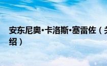 安东尼奥·卡洛斯·塞雷佐（关于安东尼奥·卡洛斯·塞雷佐介绍）