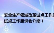 安全生产领域改革试点工作座谈会（关于安全生产领域改革试点工作座谈会介绍）