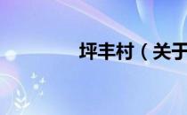 坪丰村（关于坪丰村简介）