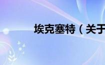 埃克塞特（关于埃克塞特简介）