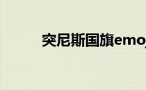 突尼斯国旗emoji（突尼斯国旗）
