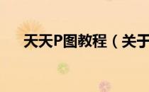 天天P图教程（关于天天P图教程简介）