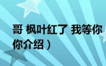 哥 枫叶红了 我等你（关于哥 枫叶红了 我等你介绍）