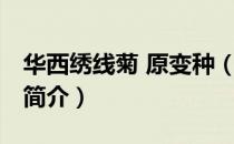 华西绣线菊 原变种（关于华西绣线菊 原变种简介）
