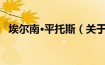 埃尔南·平托斯（关于埃尔南·平托斯简介）