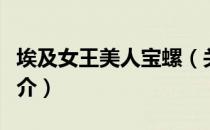 埃及女王美人宝螺（关于埃及女王美人宝螺简介）