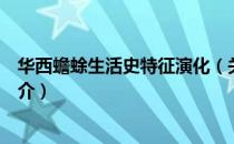 华西蟾蜍生活史特征演化（关于华西蟾蜍生活史特征演化简介）