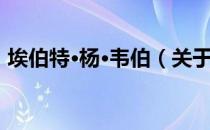 埃伯特·杨·韦伯（关于埃伯特·杨·韦伯简介）