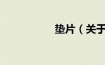 垫片（关于垫片简介）