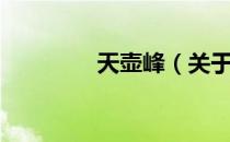 天壶峰（关于天壶峰简介）