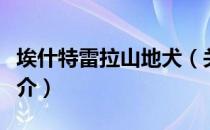 埃什特雷拉山地犬（关于埃什特雷拉山地犬简介）