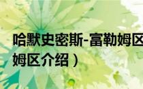 哈默史密斯-富勒姆区（关于哈默史密斯-富勒姆区介绍）