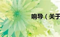响导（关于响导介绍）