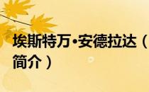 埃斯特万·安德拉达（关于埃斯特万·安德拉达简介）