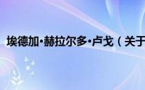 埃德加·赫拉尔多·卢戈（关于埃德加·赫拉尔多·卢戈简介）