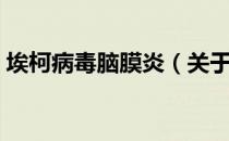 埃柯病毒脑膜炎（关于埃柯病毒脑膜炎简介）