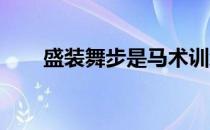 盛装舞步是马术训练的顶级表达方式