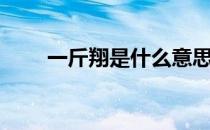 一斤翔是什么意思是什么（一斤翔）