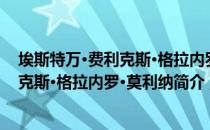 埃斯特万·费利克斯·格拉内罗·莫利纳（关于埃斯特万·费利克斯·格拉内罗·莫利纳简介）